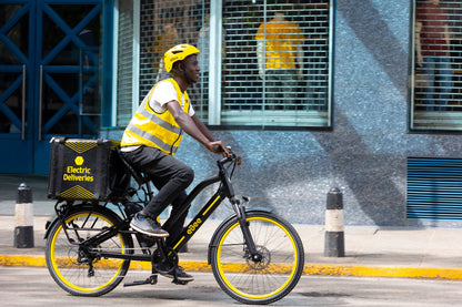 Nyuki 2.0 electric bike