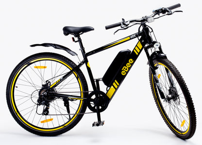 eBX 1.0 electric bike