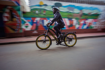 Nyuki 2.0 electric bike