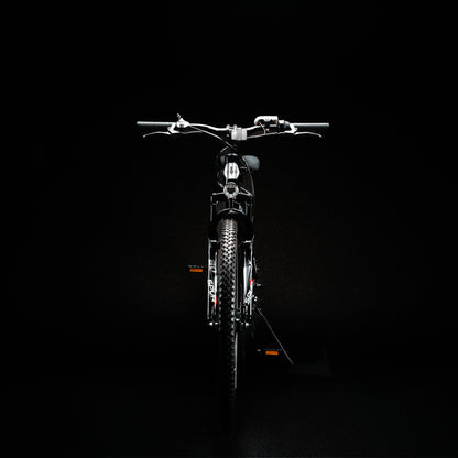 eBX 1.0 electric bike