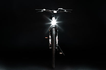 eBX 1.0 electric bike