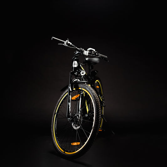 eBX 1.0 electric bike